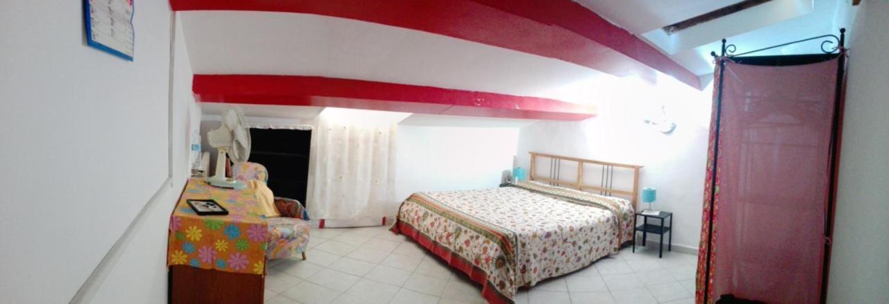 Mansarda Pieno Centro Apartment Ливорно Екстериор снимка